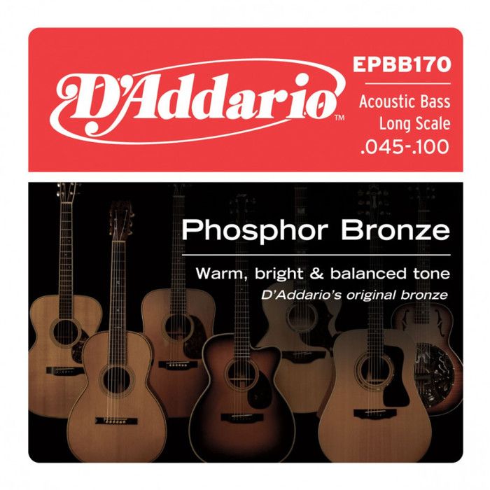D'Addario - Cordes Basse acoustique - PB45-100