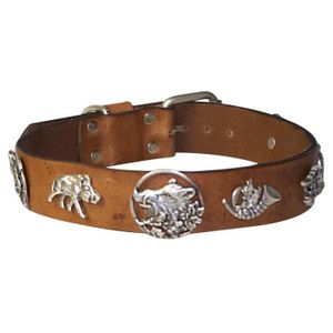 Collier chien de chasse - Achat / Vente pas cher