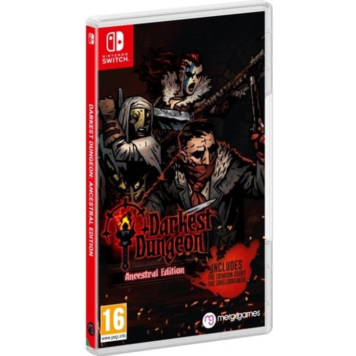 Darkest Dugeon: Ancestral Edition Jeu Switch