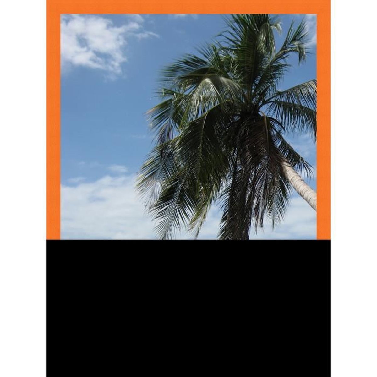 Cadre Photo Mural 15x20 15 X 20 Cadre Orange 3 Cm De Largeur Cadre