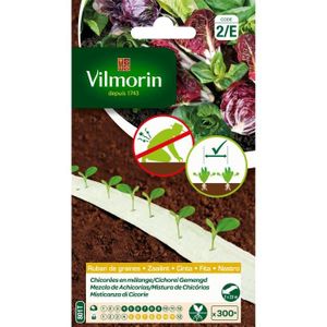 VILMORIN Ruban mélange graines de Chicorées - 2 x 2,5 m