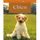 Le chien