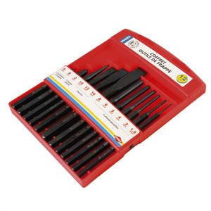 COGEX Coffret de 12 outils de frappe