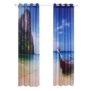 VOILAGE 2Pcs Rideaux Voilage à Oeillet Frais Transparents 