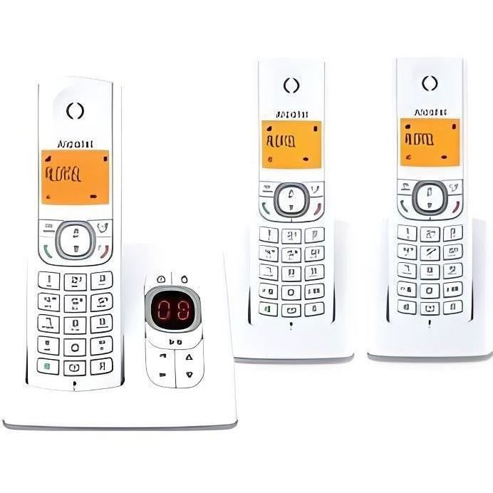 Telephone sans fil ALCATEL F 530 VOICE TRIO GRIS