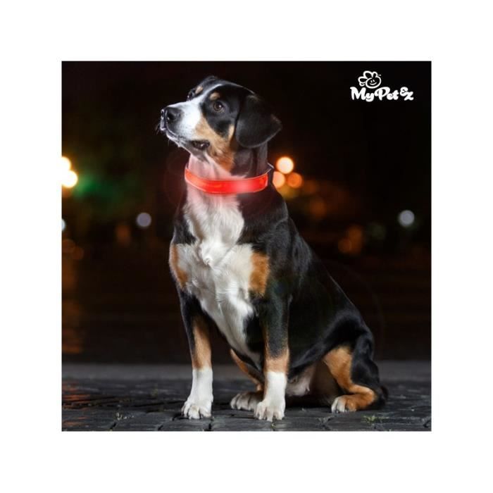 MY PET Collier LED - L 42-45 cm - Pour chiens