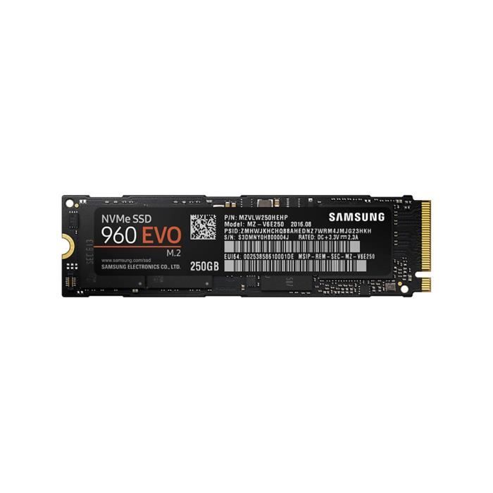 Samsung SSD 250 Go 960 EVO M.2 Type 2280