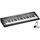 CASIO CTK-1300AD Clavier standard 61 touches dynam
