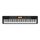 CASIO CDP-230 Piano numérique 88 touches