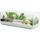Aquarium pour tortue