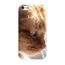 coque iphone 4 chaton coque iphone 4 chaton