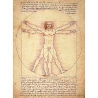 TABLEAU - TOILE Tableau Homme de vitruve Leonardo Da Vinci 55 x 7 TABLEAU - TOILE Tableau Homme de vitruve Leonardo Da Vinci 55 x 7