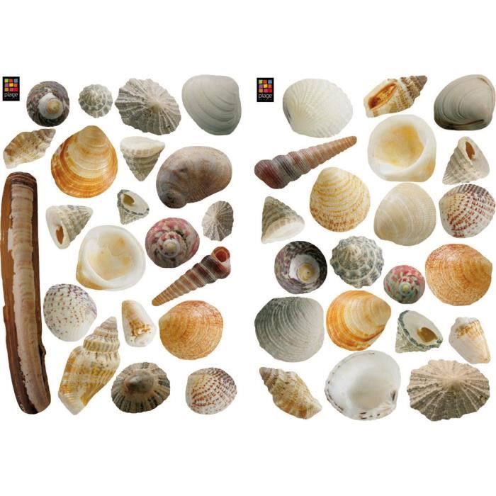 PLAGE Stickers adhésif mural Taille S - Coquillages2 planches 29,7 x 21 cm, divers motifs