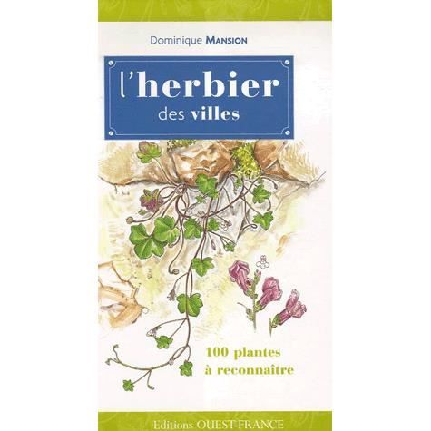 Lherbier Des Villes Achat Vente Livre Dominique Mansion - 