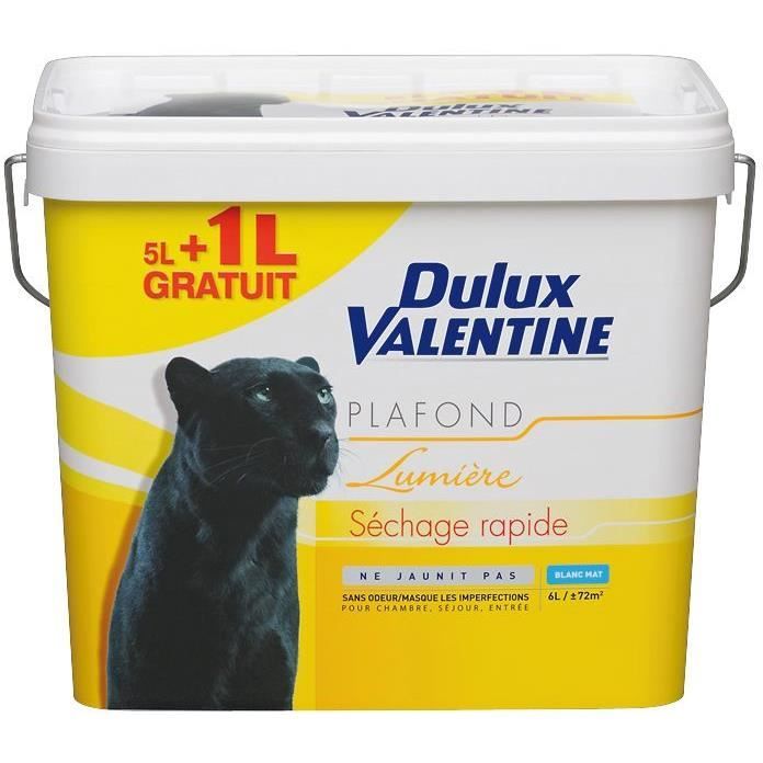 Peinture Plafond Lumière Blanc 5 L 1 L Achat Vente