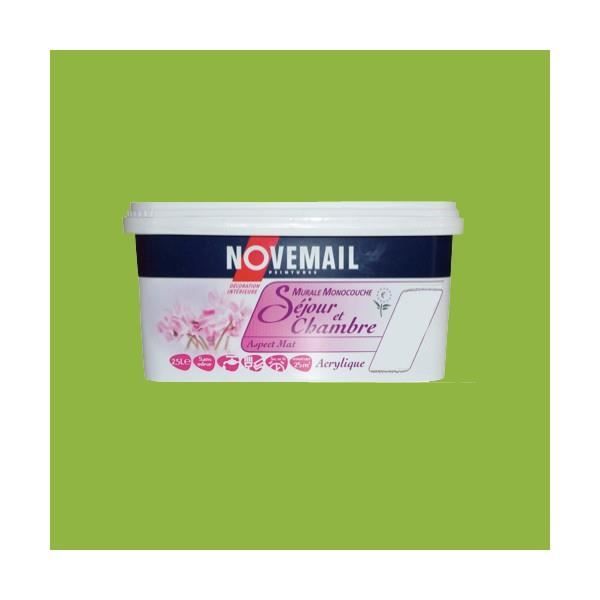 Peinture Novemail Séjour Et Chambre Mat Absinth Achat Vente
