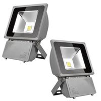 eclairage exterieur 100w