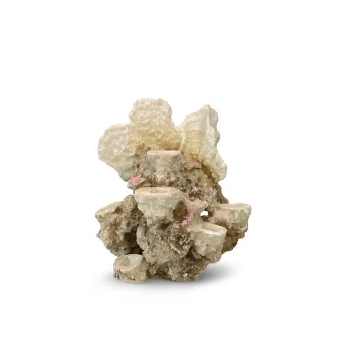 AQUA DELLA Décoration pour aquarium Barrière de corail - 21 x 18 x 31cm - pour 6 coraux - M/L
