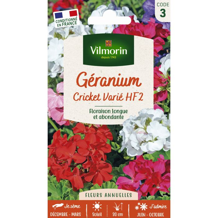 VILMORIN Geranium Cricket varie