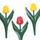Décor bordure forme tulipe lot de 12 Multicolore