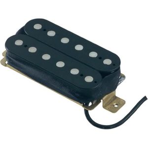 phonocapteur-de-guitare-electrique-paf-custom.jpg