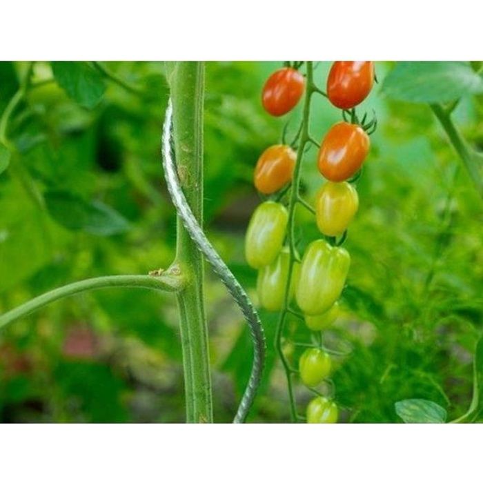 Tuteur tomates a spirale - Achat / Vente pas cher