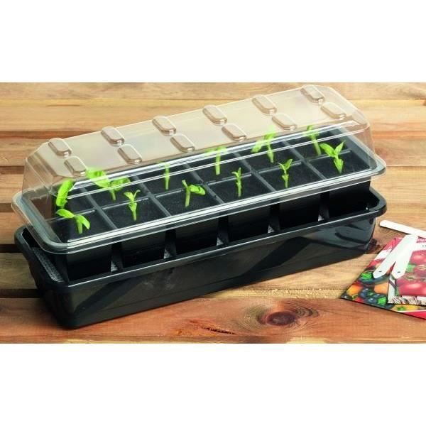Kit miniserre 12 cellules arrosage automatique germination jardinage