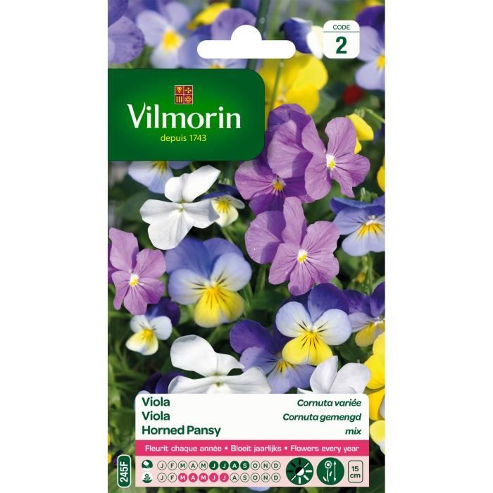 VILMORIN Viola Cornuta variee