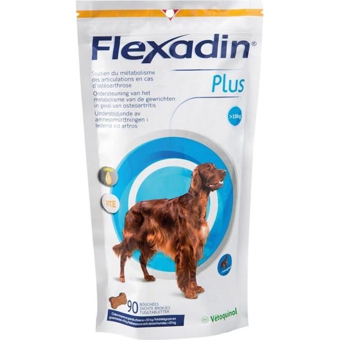 Flexadin Plus Maxi 90 Bouchees - 