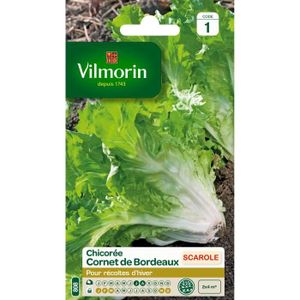 VILMORIN Chicorée scarole cornet de Bordeaux