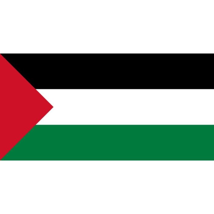 drapeau palestine palestinien - prix pas cher