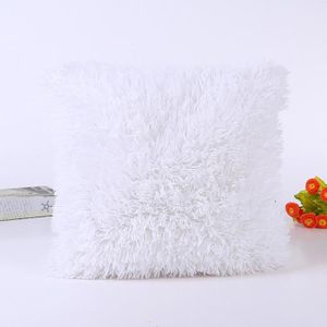 HOUSSE DE COUSSIN Housse de coussin Taie d'oreiller Canapé blanc