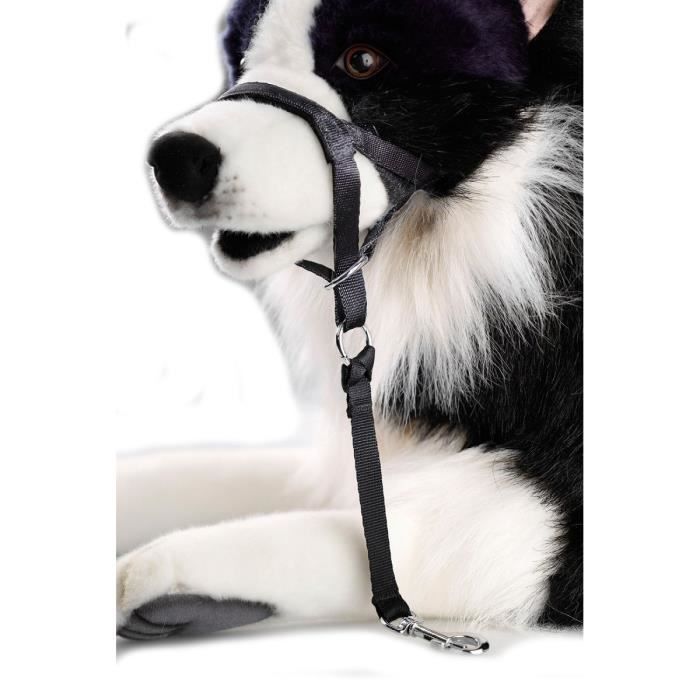 D&D Licol XS - 30-37x4x22cm - Noir - Pour chien