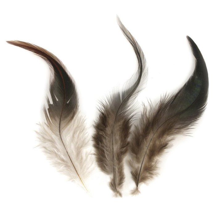 100 Plumes Naturelles De Coq 8-13 Cm - Lot Pour Artisanat, Déco, Costumes Et DIY
