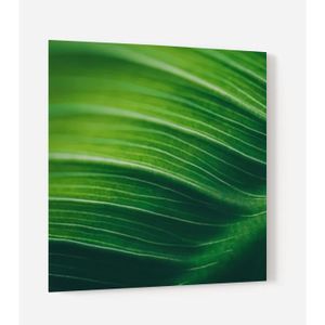 Fond de hotte "Feuille verte" en Verre
