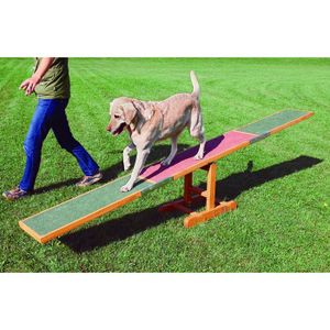 Agility chien - Achat / Vente Agility chien pas cher Agility chien - Achat / Vente Agility chien pas cher