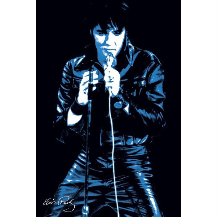 Poster Elvis Presley Pop Art (61 x 91.5cm)   Achat / Vente TABLEAU