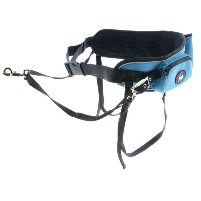 I DOG Ceinture Canicross - Bleu et gris - Pour chien