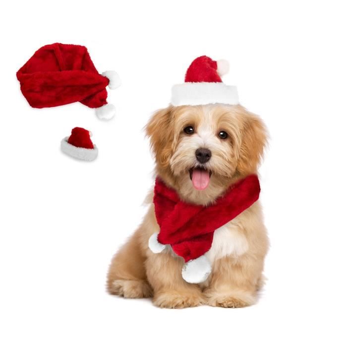 064227 Set et écharpe PÈRE NOËL pour chiens de petite taille