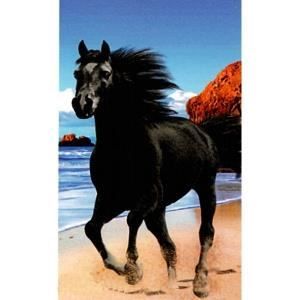 Serviette de plage Cheval noir - Achat / Vente serviette de plage ... Serviette de plage Cheval noir - Achat / Vente serviette de plage ...