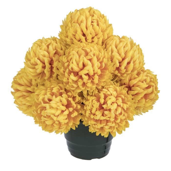 UNE FLEUR EN SOIE Pot de chrysanthèmes boules feu - 36 cm
