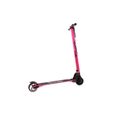 Trottinette Électrique Carbone 250 w 6.6 Ah
