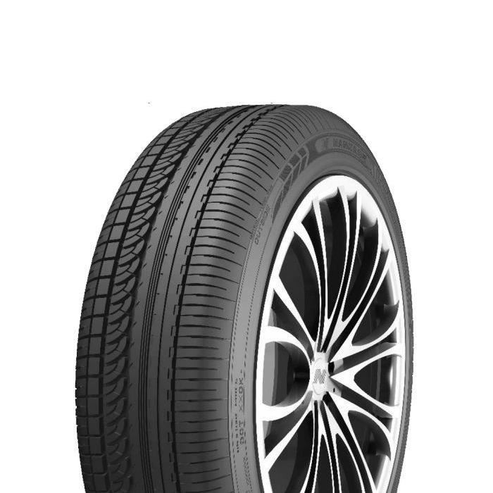 NANKANG AS1 XL MFS 285/30 R21 100 Y Pneu Été