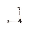 Trottinette Électrique Carbone 250 w 6.6 Ah