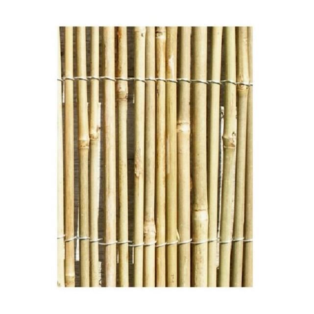  Canisse  en Canne de Bambou  4m x 2m Achat Vente haie 