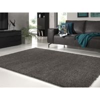 TAPIS TRENDY Tapis de salon Shaggy en polypropylène - 12 TAPIS TRENDY Tapis de salon Shaggy en polypropylène - 12