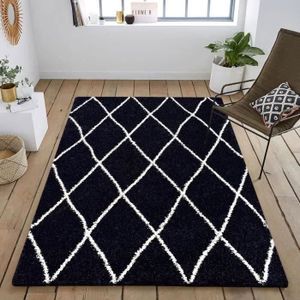 TAPIS ASMA Tapis de salon Shaggy - Style berbère - 120 x