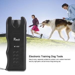 dressage chien 13