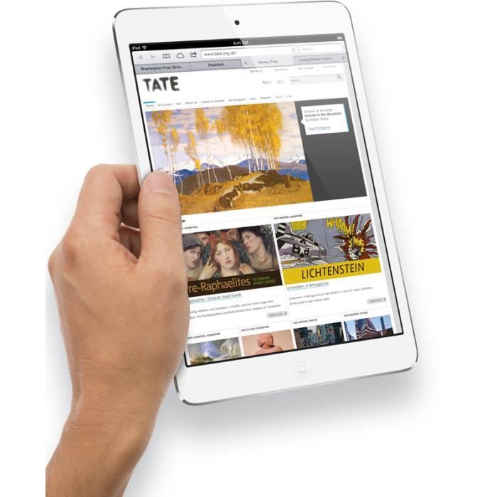 Apple iPad mini, 20,1 cm (7.9\"), 1024 x3