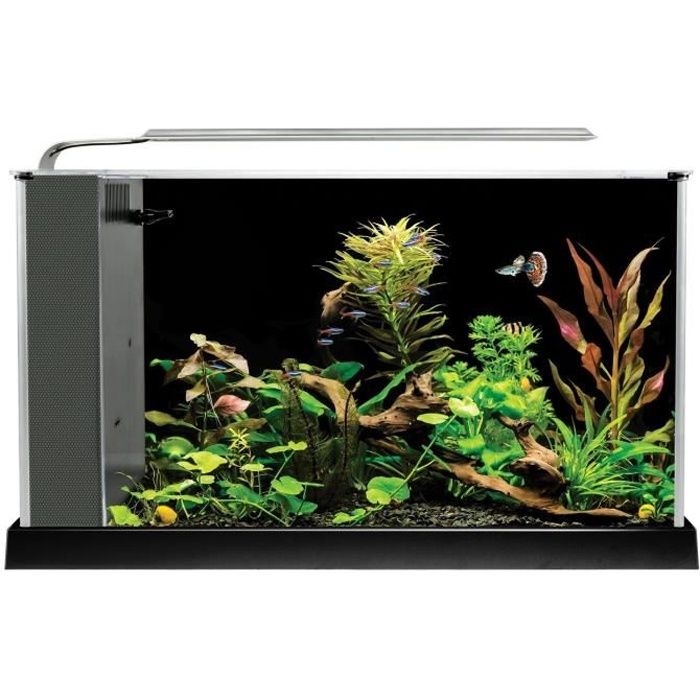 FLUVAL Aquarium Spec V - 19 L - Noir